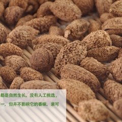 正宗香料春砂仁 500g