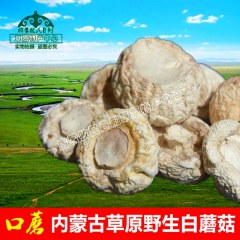 锡林郭勒草原野生白蘑菇200g