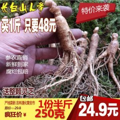 吉林长白山鲜人参250g