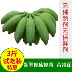 广东高州新鲜米蕉1500