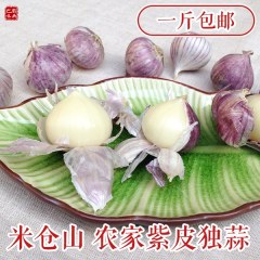 四川特产紫皮大蒜独头500g