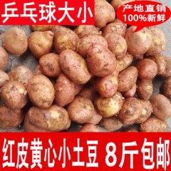 云南高原土豆4000g