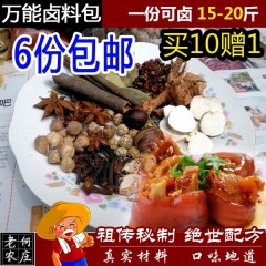 炖肉卤肉料卤水调味品50g