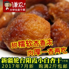 新疆轮台阳霞小白杏干1000g